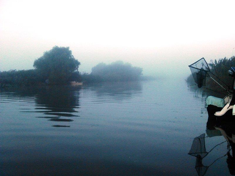 Rosu - Septembrie  2015 - img20150926071447.jpg